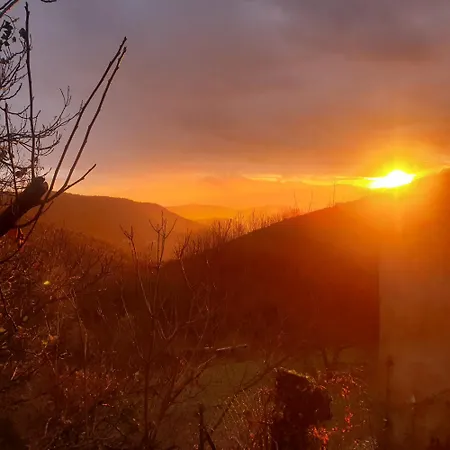 Le Reveil Des Oiseaux Bed and Breakfast Taillet